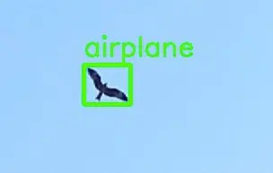 Yolo Bird